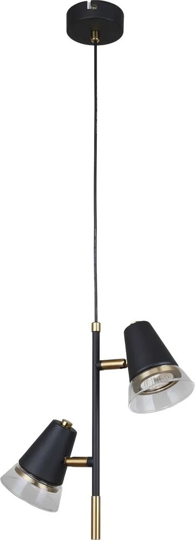 Подвесная люстра F-Promo Trandy 4618-2P