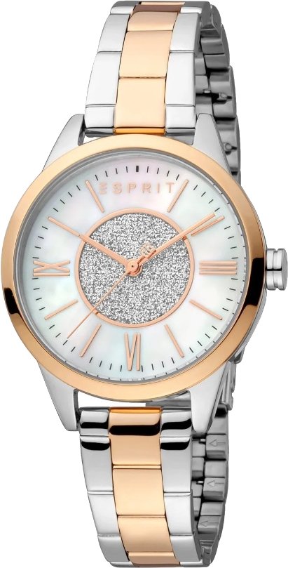 

Наручные часы Esprit ES1L385M0125