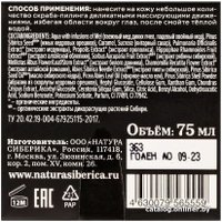 Natura Siberica Скраб для лица Fresh SPA home скраб-пилинг Медовый. Таежный янтарь (75 мл)
