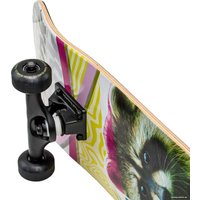 Скейтборд Plank Raccoon P22-SKATE-PACCON