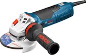 Bosch GWS 17-125 CIE Professional (060179H003)