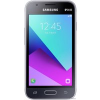 Смартфон Samsung J1 Mini Prime 2016 (черный) [J106F/DS]