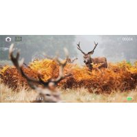 ПНВ Veber DigiView NB-01