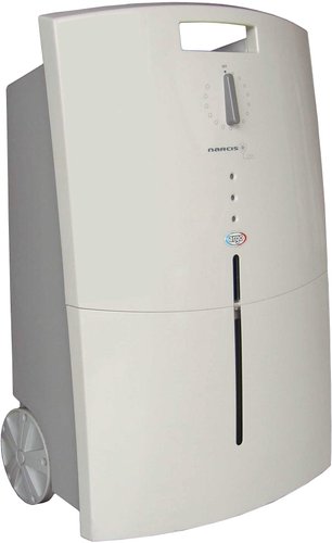 Argo Narciso 20