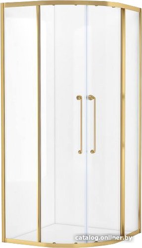 Душевой уголок Cezares RELAX-304-R-2-100-C-BORO