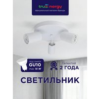 Припотолочная люстра TruEnergy 21491