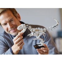 Конструктор LEGO Ideas 21320 Кости динозавра