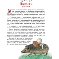 Книга издательства Эксмо. Бемби (Зальтен Ф.)