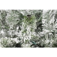 Ель GreenTerra Оливия заснеженная 2.1 м