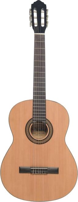 

Акустическая гитара Veston 4/4 C-50A SP/N