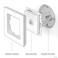 Розетка телевизионная Werkel W1183008 a051612