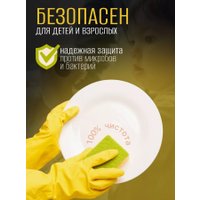 Средство для мытья посуды Результат.Про Гибискус (5 л)