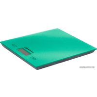 Кухонные весы HomeStar HS-3006 (зеленый)