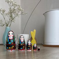 Развивающая игра Брестская Фабрика Сувениров В украинской вышиванке (набор 5 шт)