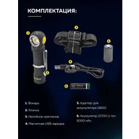 Фонарь FORSAGE F-BF101(54145)