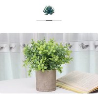 Искусственное растение Sundays Home PB05-12 6405000719C