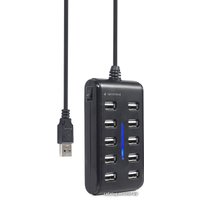 USB-хаб Gembird UHB-U2P10P-01