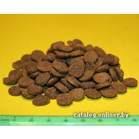 Сухой корм для собак Acana Puppy & Junior 0.34 кг