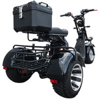 Электроскутер Smart8 Bulbash X12 Trike (черный)