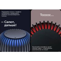 Умная колонка Sber SberBoom (черная материя)