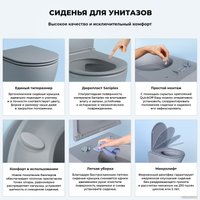 Унитаз подвесной Wellsee Pure BY Wellsee RimFree 182605001 (чаша, пневмокрышка, матовый серый)