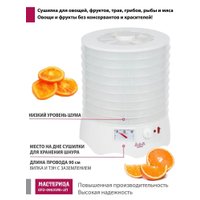 Сушилка для овощей и фруктов Мастерица EFD-0903VM (с прозрачными поддонами + 2 поддона для пастилы и лопатка)