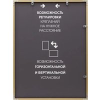 Интерьерные зеркала Алмаз-Люкс М-425 120х60