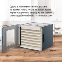 Сушилка для овощей и фруктов StarWind SFD6431