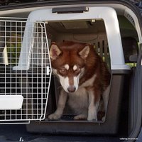 Переноска Ferplast Atlas Classic 50 73050021 (серый/черный)