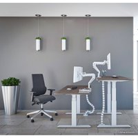 Стол для работы стоя WellDesk с электроприводом Bosch двухмоторный 28мм (ясень шимо, черный)