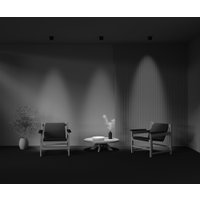 Точечный светильник Maytoni Lens C217CL-15W3K-B