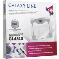 Напольные весы Galaxy Line GL4810 (серебристый)