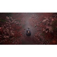  Silent Hill f. Day One Edition для PlayStation 5