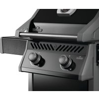 Газовый гриль для дачи Napoleon Rogue 365 R365PK-2-PL