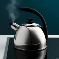 Чайник со свистком BergHOFF Essentials Lucia 1104175