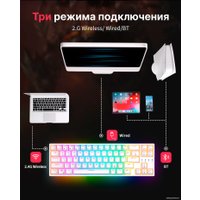 Клавиатура Royal Kludge RK68 Plus RGB (белый, RK Red)