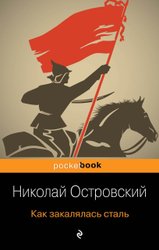 Как закалялась сталь (Островский Николай Алексеевич)