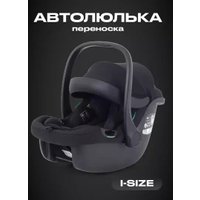 Детское автокресло Rant Carry 2.0 AY329 (черный)