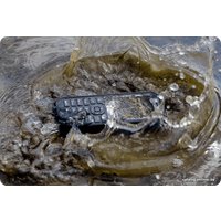 Телефон Caterpillar Cat B26 (черный)