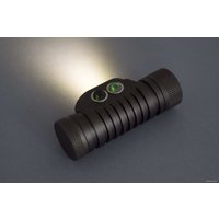 Фонарь Яркий луч YLP Panda 3R