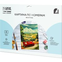 Картина по номерам Три совы Спорткар в Тоскане КК_53826