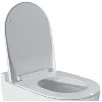 Сиденье для унитаза Jaquar SLS-WHT-6107PP