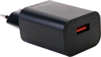 Сетевое зарядное Ergolux ELX-РA01P-C02 ПРОМО