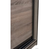 Шкаф-купе Евва 21 TTG.03 АЭП ШК.3 02 (дуб трюфель/венге глянец) в Бобруйске