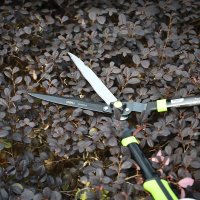 Ножницы садовые Deli EDL580421