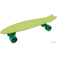 Пенниборд Tech Team Fishboard 23" 2021 (зеленый)