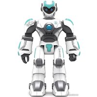 Интерактивная игрушка Subotech BG1532