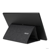 Портативный монитор ASUS ZenScreen MB166B в Пинске