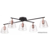 Припотолочная люстра Lumion Joseph 4455/5C