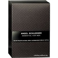 Туалетная вода Angel Schlesser Essential for men EdT (100 мл)